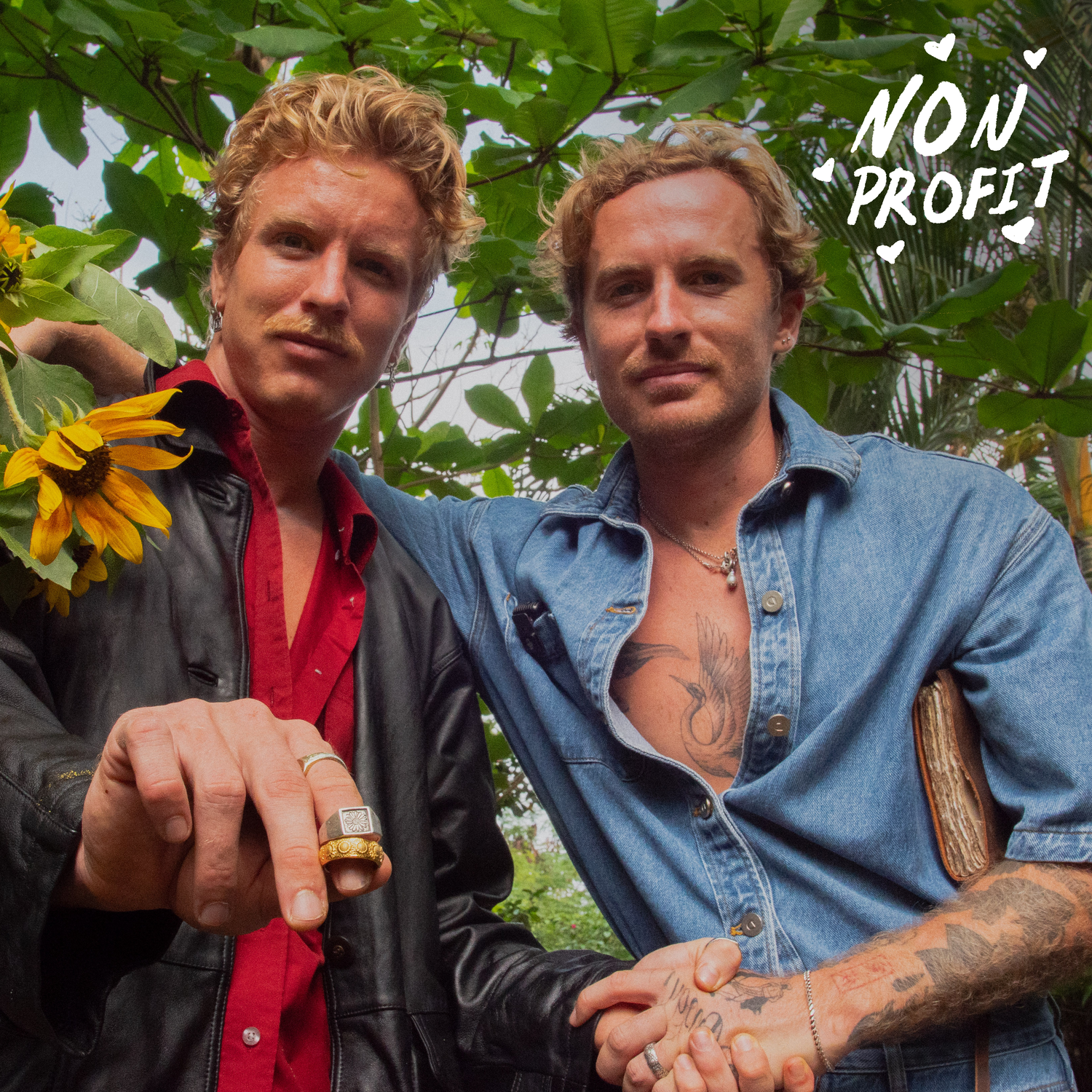 Non-Profit Collection