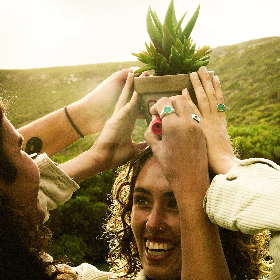 Aloe There