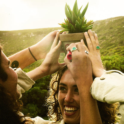 Aloe There