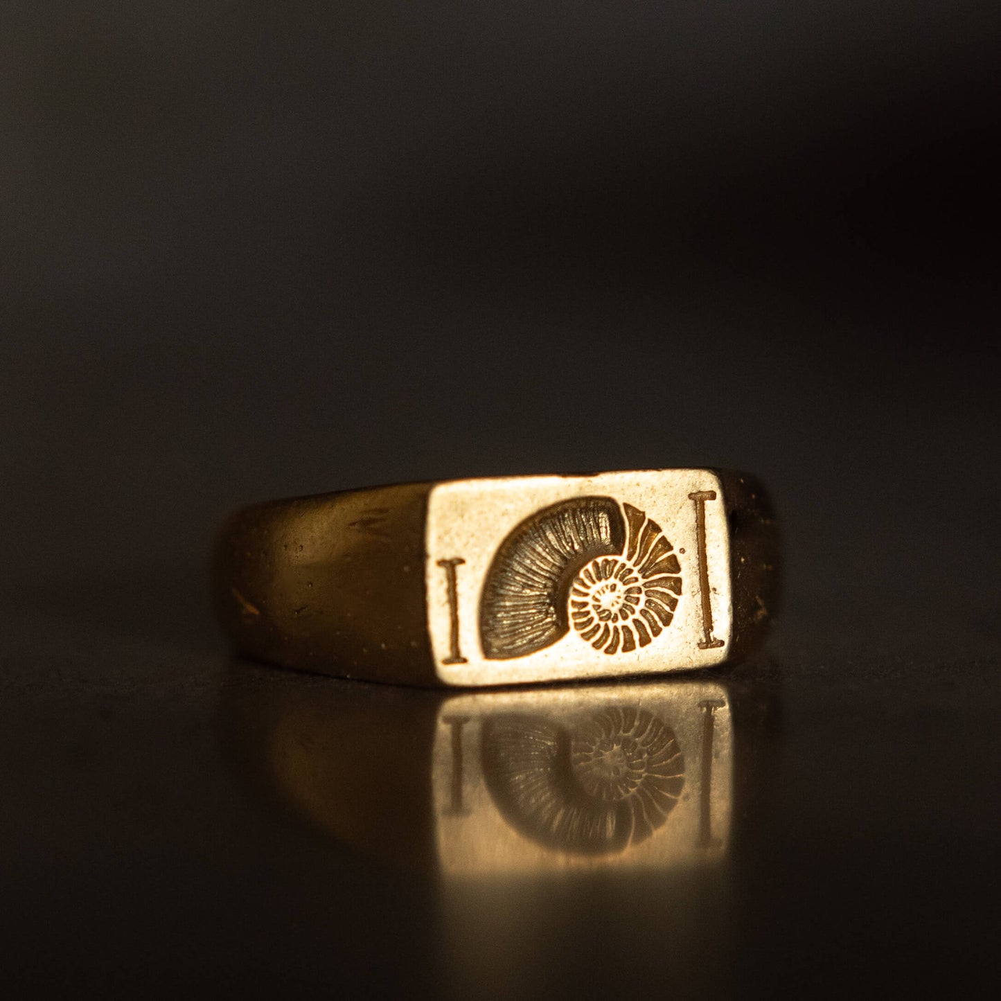 Fibonacci Ring (G)