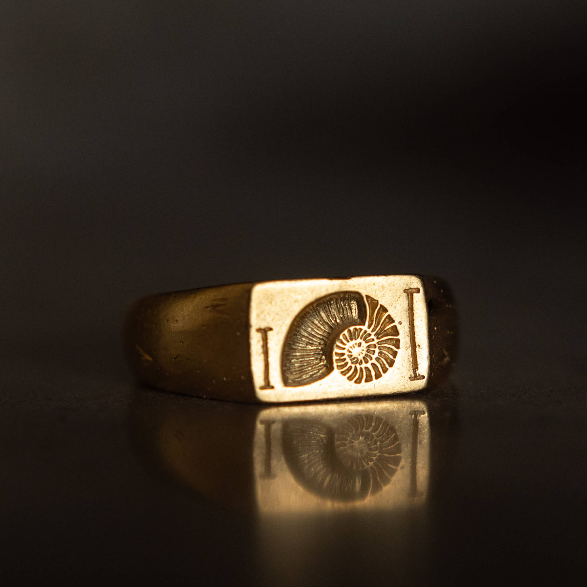 FIBONACCI | Handmade Gold Ring - Salty Dagger