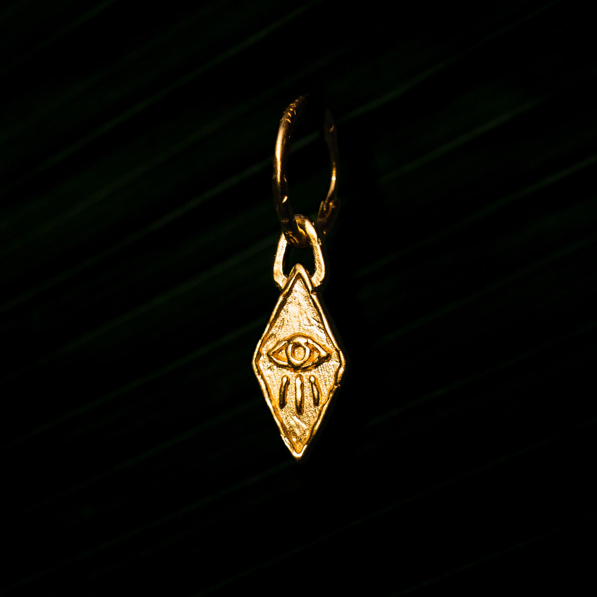Wise Eyes Earring (G)