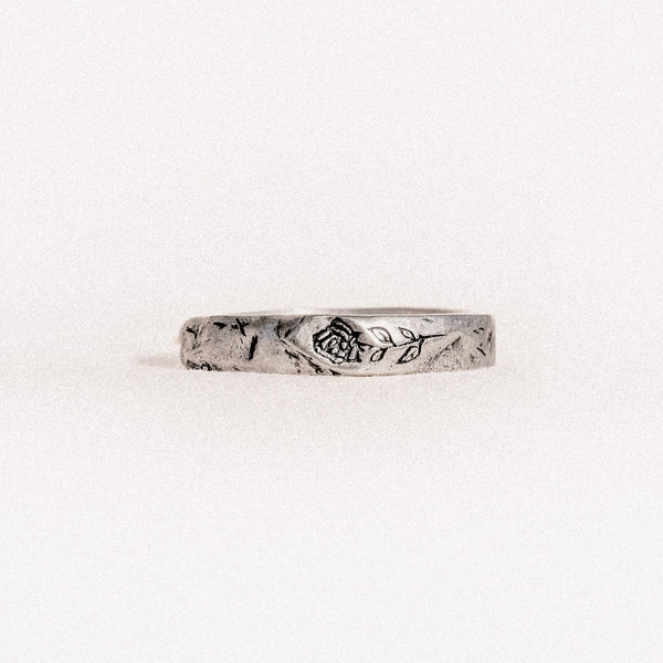 The Seeker Ring