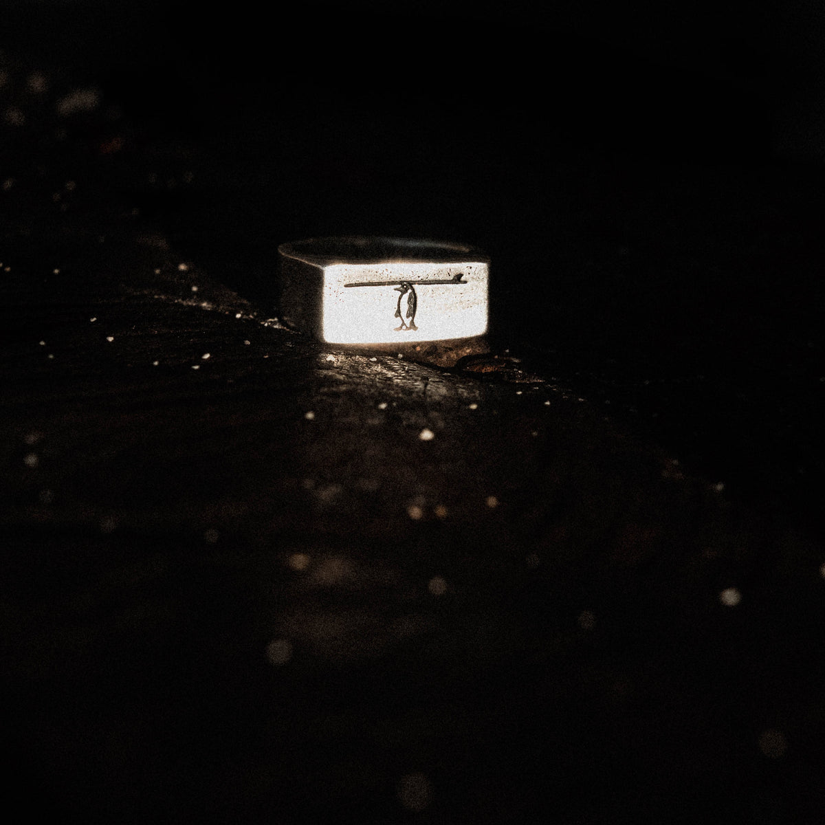 BACK IN THE DAY | Recycled Silver Ring - Salty Dagger