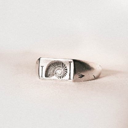 Fibonacci Ring