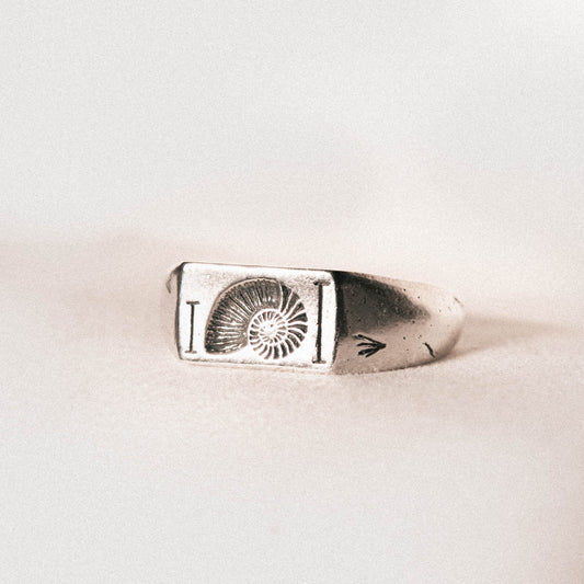 Fibonacci Ring