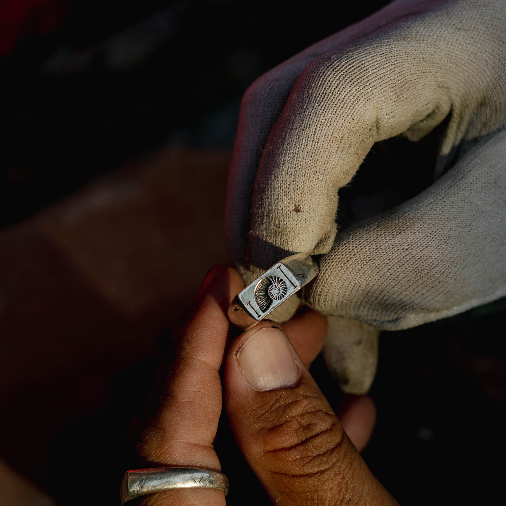Fibonacci Ring