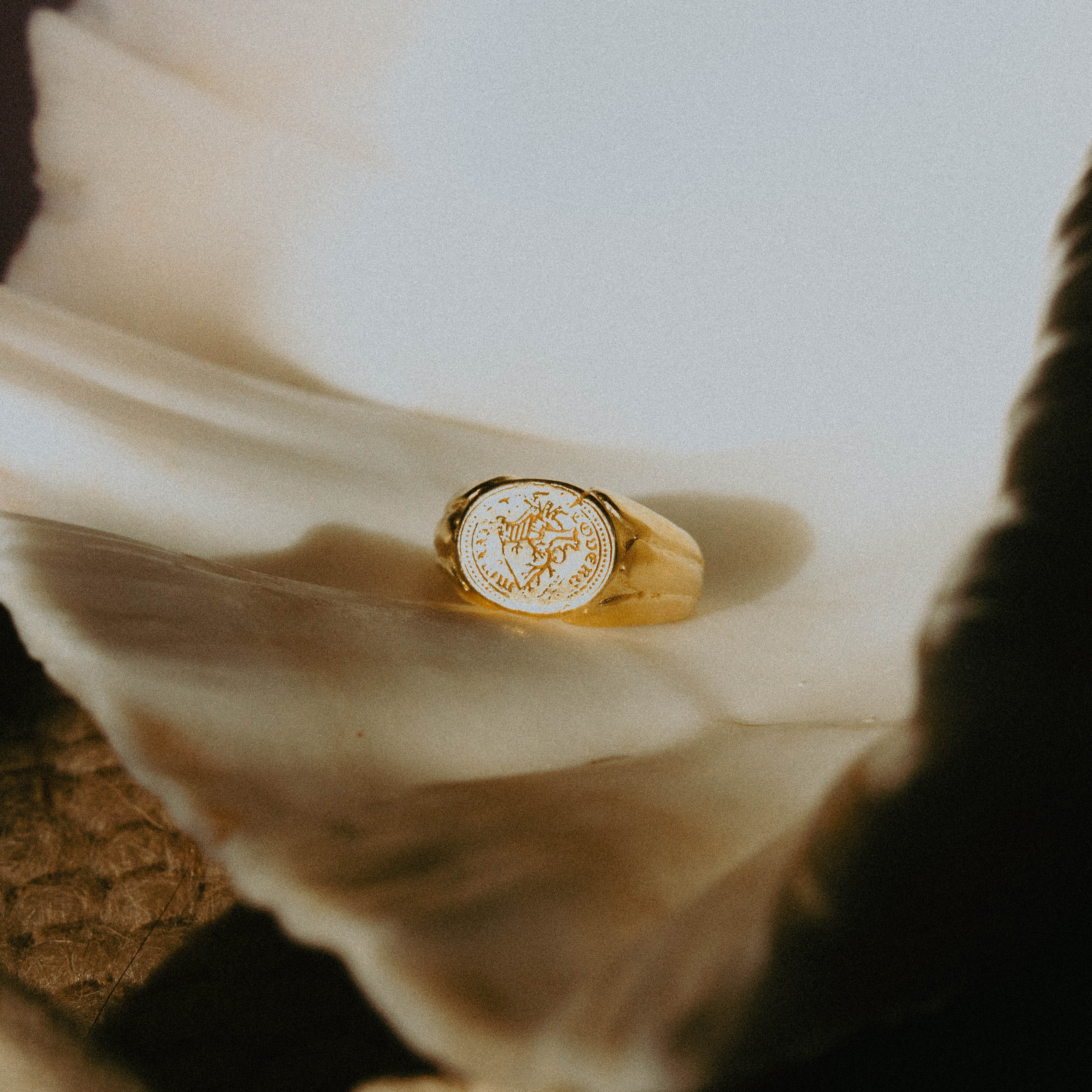 TRUE NORTH | Handmade Gold Ring - Salty Dagger