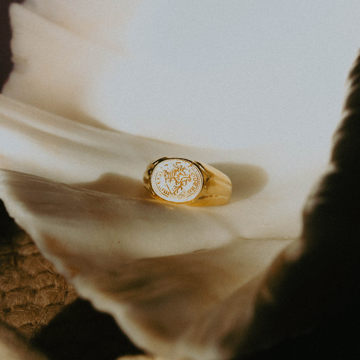 TRUE NORTH | Handmade Gold Ring - Salty Dagger
