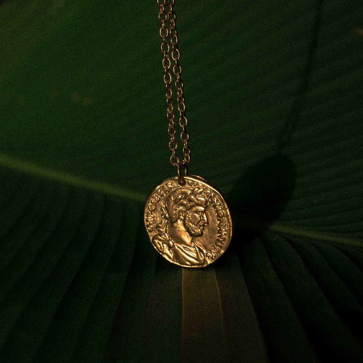Ancient Phoenix (G)