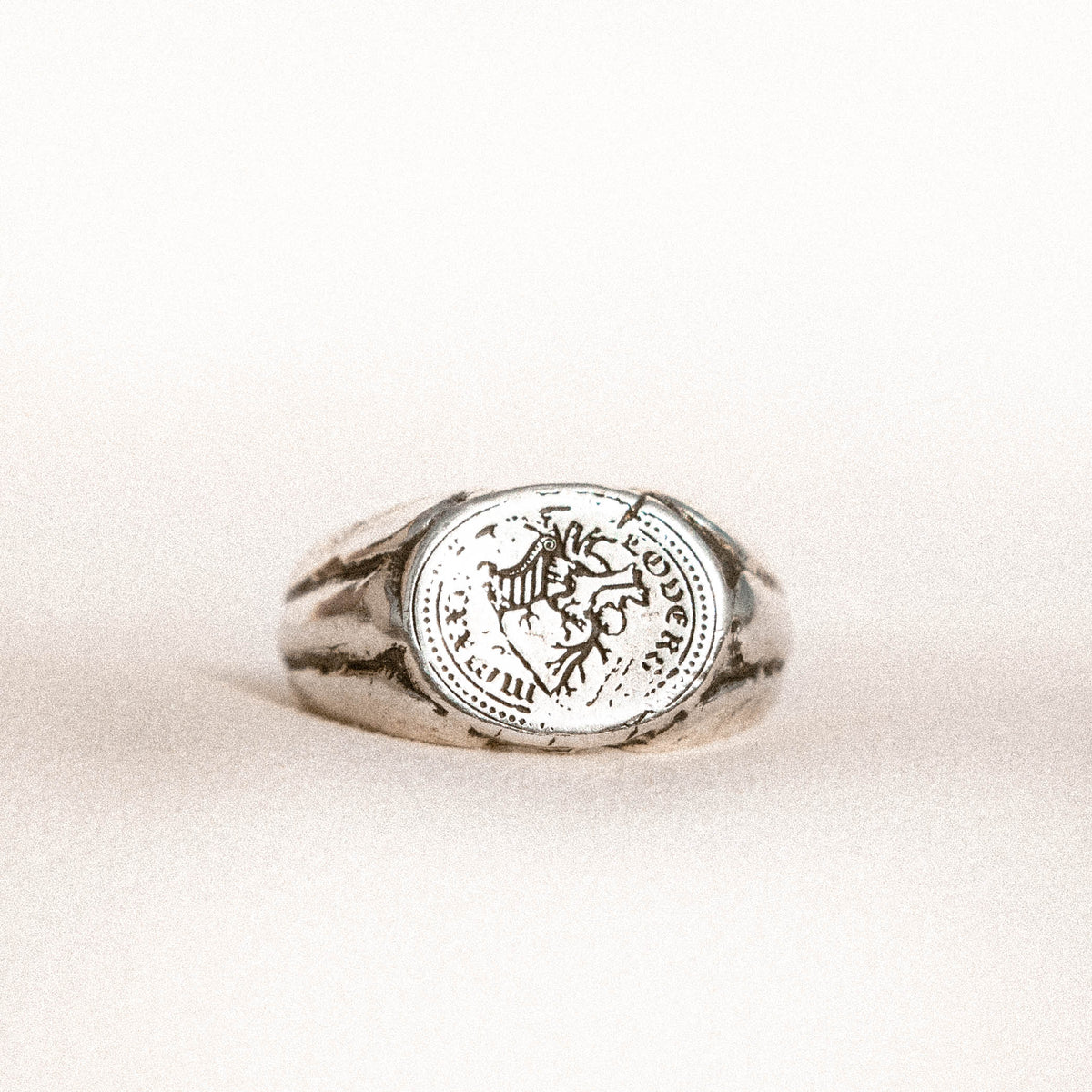 TRUE NORTH | Recycled Silver Signet Ring - Salty Dagger